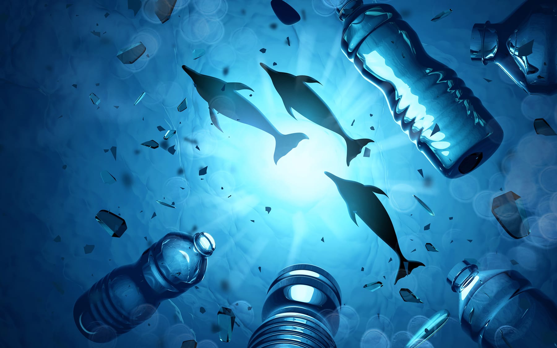 dolphins with floating plastic bottles in sea