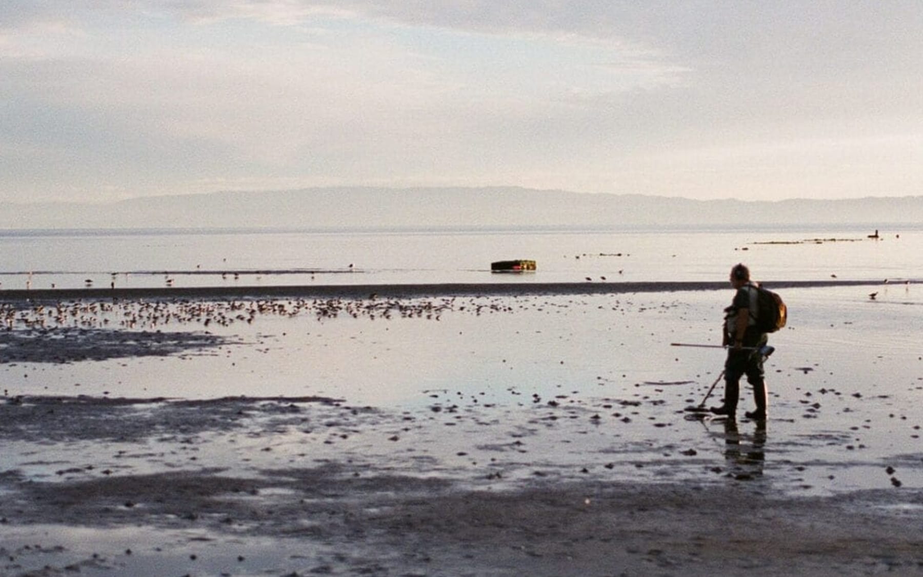 person exploring the shore